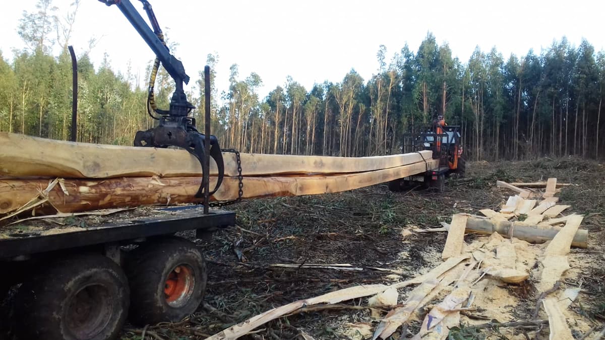 Maderas Costiña, fabricación de vigas para bateas