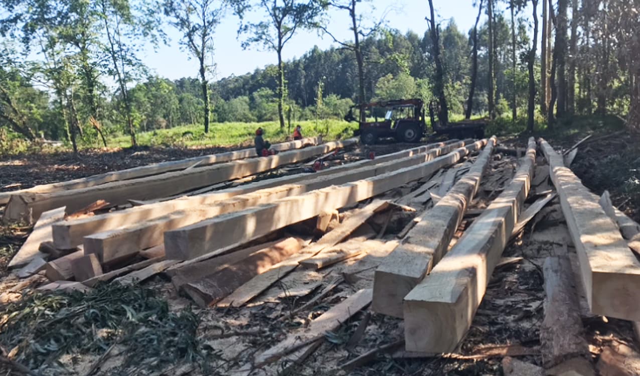 Maderas Costiña, fabricación de vigas para bateas